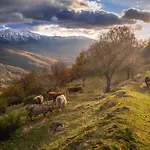 Casa di campagna Arbequina - Naturaleza Y Calma En El Valle Del Ambroz Casas del Monte