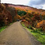 Arbequina - Naturaleza Y Calma En El Valle Del Ambroz Casas del Monte