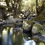 Casa di campagna Arbequina - Naturaleza Y Calma En El Valle Del Ambroz Casas del Monte