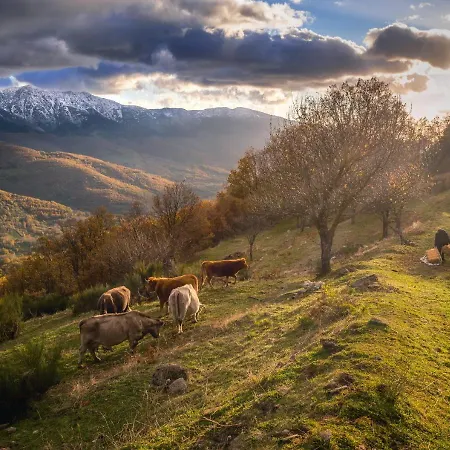 Εξοχικό σπίτι Arbequina & Esqui La Covatilla Casas del Monte