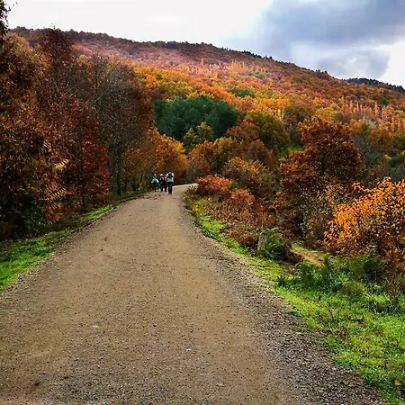 Arbequina & Esqui La Covatilla Casas del Monte