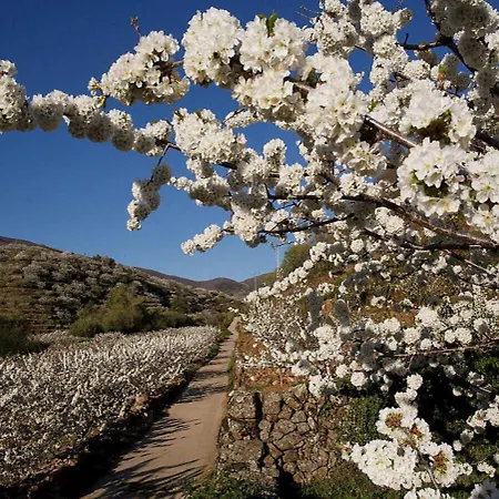 Arbequina - Naturaleza Y Calma En El Valle Del Ambroz