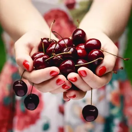 Arbequina & Esqui La Covatilla *