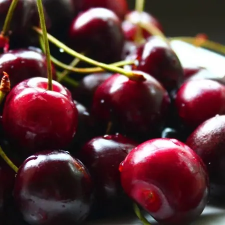 Arbequina & Esqui La Covatilla Εξοχικό σπίτι *