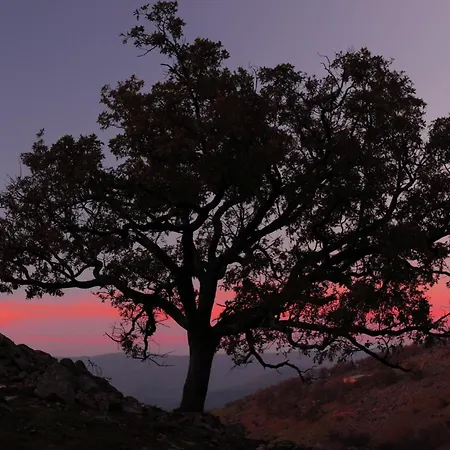Arbequina - Naturaleza Y Calma En El Valle Del Ambroz * Casas del Monte