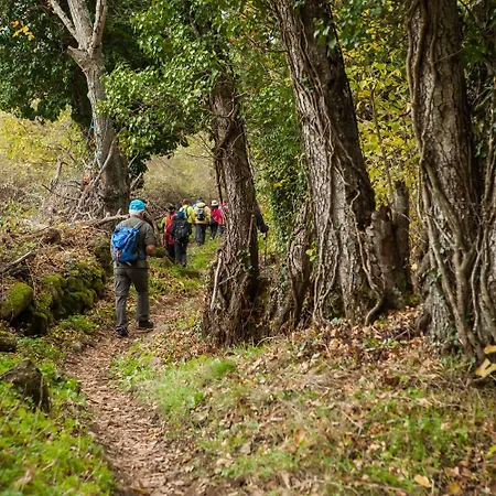 Arbequina & Esqui La Covatilla * Casas del Monte