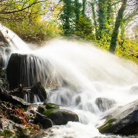 Casa Rural Arbequina - Naturaleza Y Calma En El Valle Del Ambroz Country house