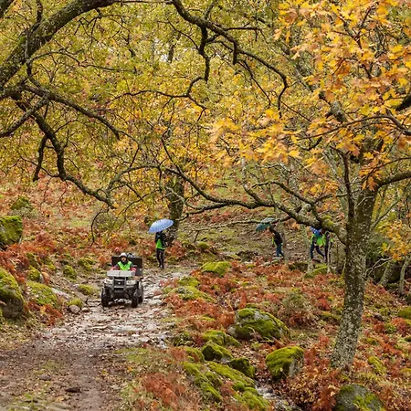 Arbequina & Esqui La Covatilla Venkovský dům *