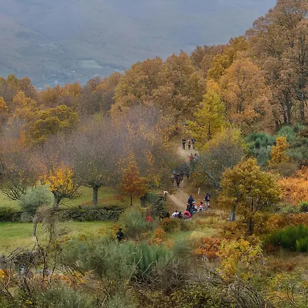 Casa Rural Arbequina - Naturaleza Y Calma En El Valle Del Ambroz