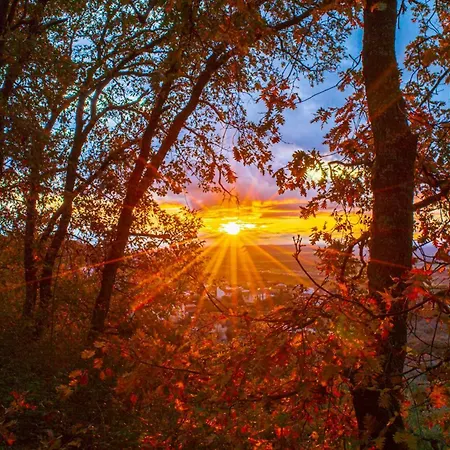 Casa Rural Arbequina - Naturaleza Y Calma En El Valle Del Ambroz