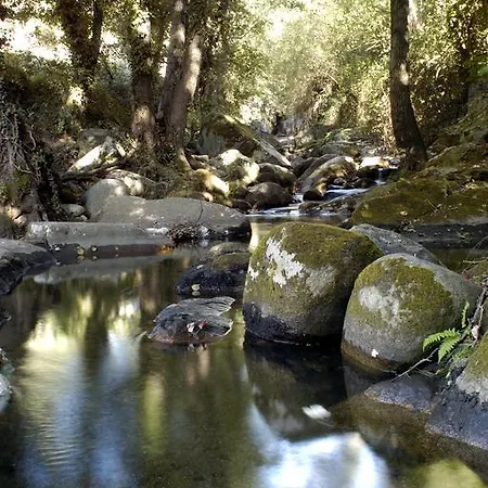 Kır Evi Arbequina-piscina Natural A 100 Metros Casas del Monte