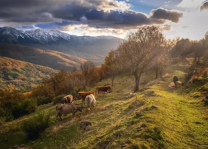 Venkovský dům Arbequina & Esqui La Covatilla Casas del Monte