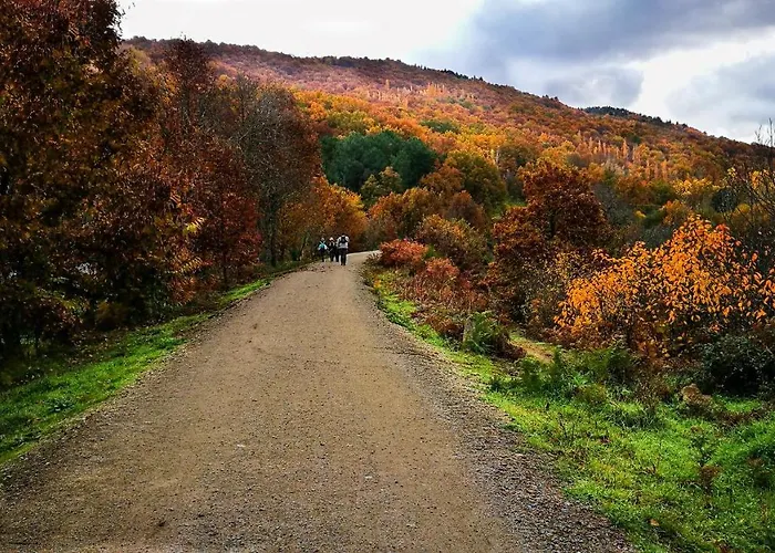 Arbequina & Esqui La Covatilla Casas del Monte