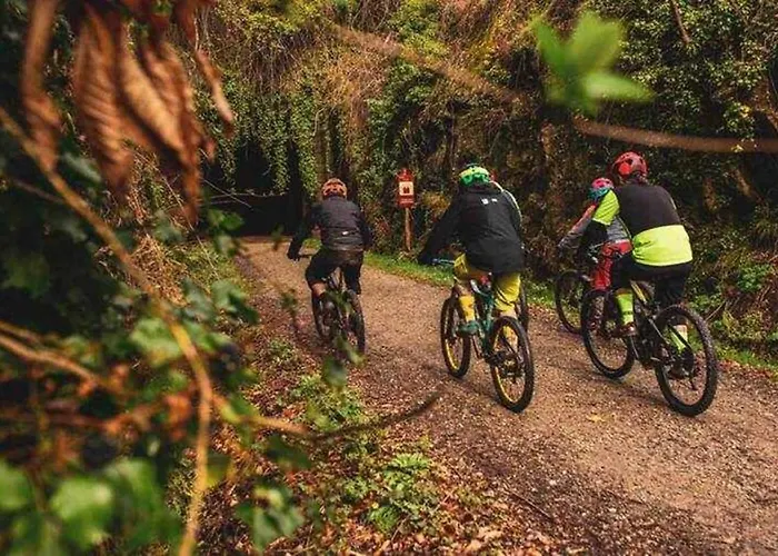 Country house Casa Rural Arbequina - Naturaleza Y Calma En El Valle Del Ambroz *