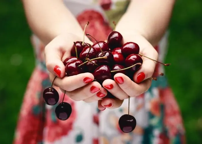Casa Rural Arbequina - Naturaleza Y Calma En El Valle Del Ambroz *