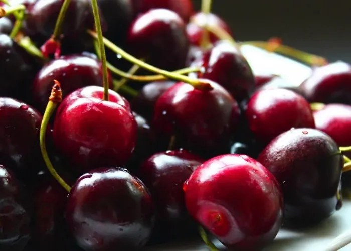 Arbequina & Esqui La Covatilla Venkovský dům *