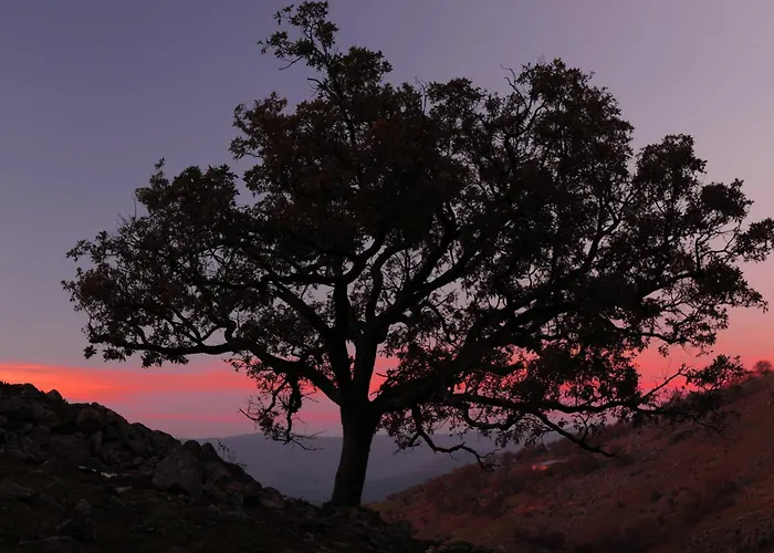 Arbequina & Esqui La Covatilla * Casas del Monte