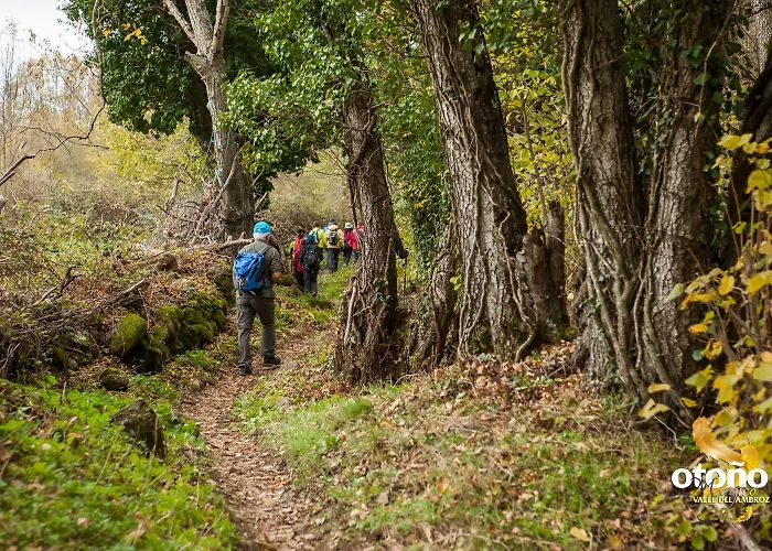 Casa Rural Arbequina - Naturaleza Y Calma En El Valle Del Ambroz * Casas del Monte