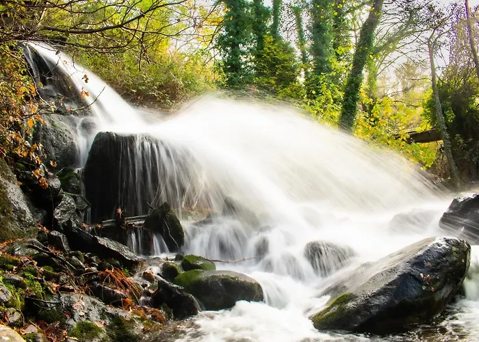 Casa Rural Arbequina - Naturaleza Y Calma En El Valle Del Ambroz Country house