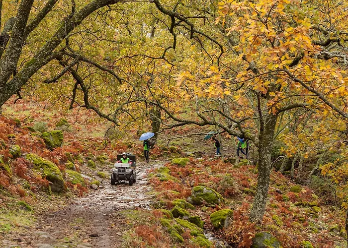 Casa Rural Arbequina - Naturaleza Y Calma En El Valle Del Ambroz Country house *