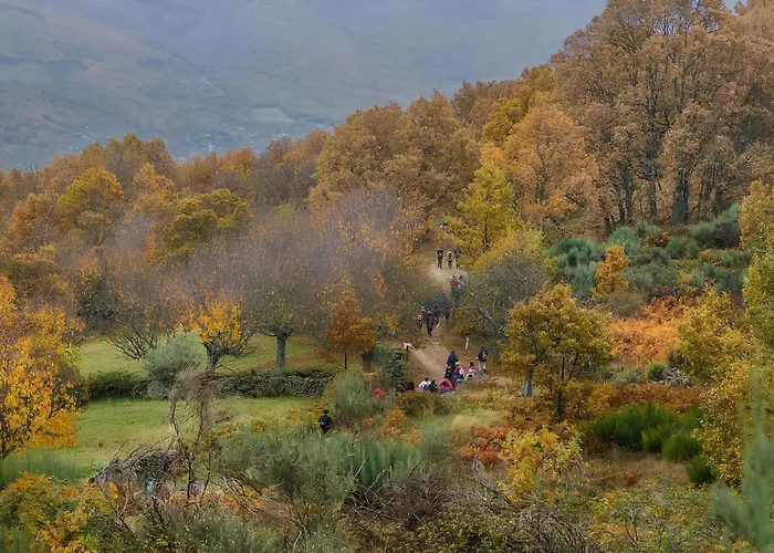 Casa Rural Arbequina - Naturaleza Y Calma En El Valle Del Ambroz