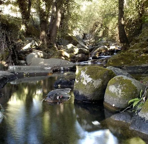 Venkovský dům Arbequina & Esqui La Covatilla Casas del Monte