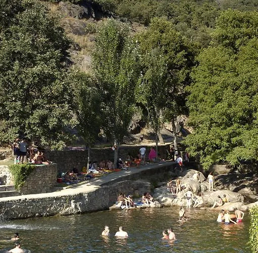 Gospodarstwo wiejskie Arbequina Cerezo En Flor *